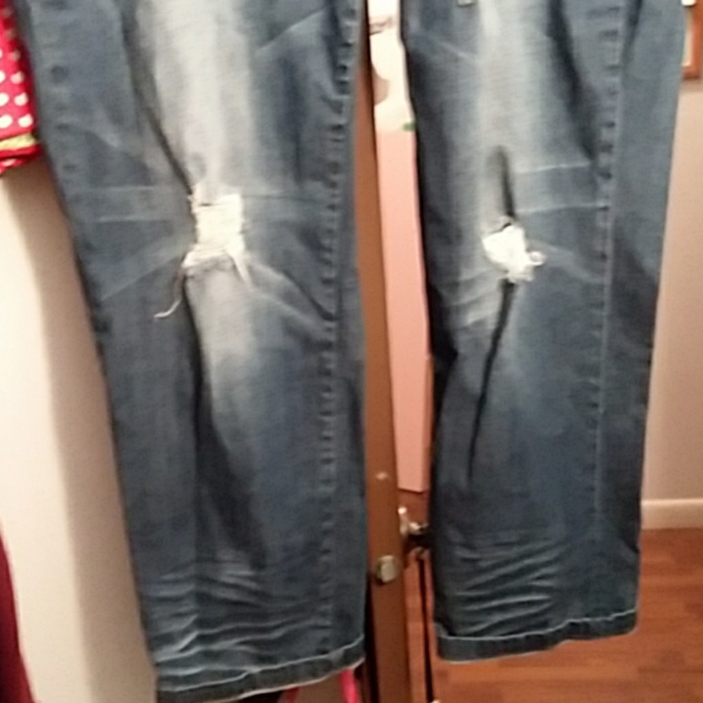 Standards And Practices Plus Size Embroidered Jean - image 3